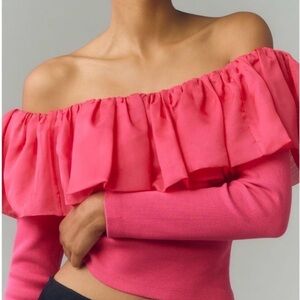 Anthropologie Organza Ruffle Top Size XS